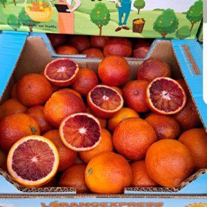 ORANGES MORO CAISSE 7 Kg