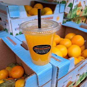 ORANGE JUS CAISSE 9Kg