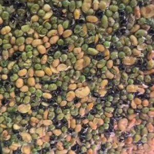 Mix légumineuses  déshydratées 100g